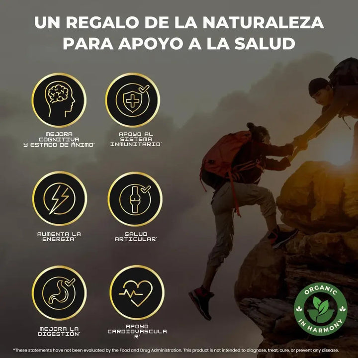 GOMAS SHILAJIT PREMIUM 👑 2X1 -  SOLO REYES